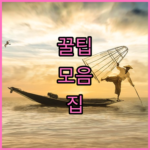 괴정동 대형폐기물 버릴 땐? 인터넷 ..