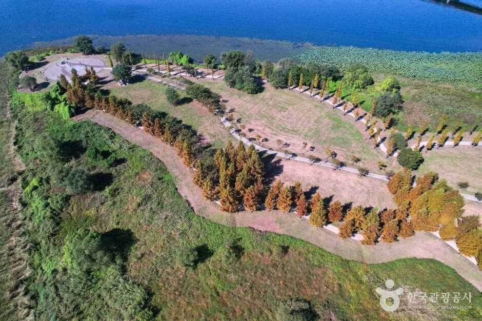 숲길 걷기 좋은 여행지 TOP 5 추천