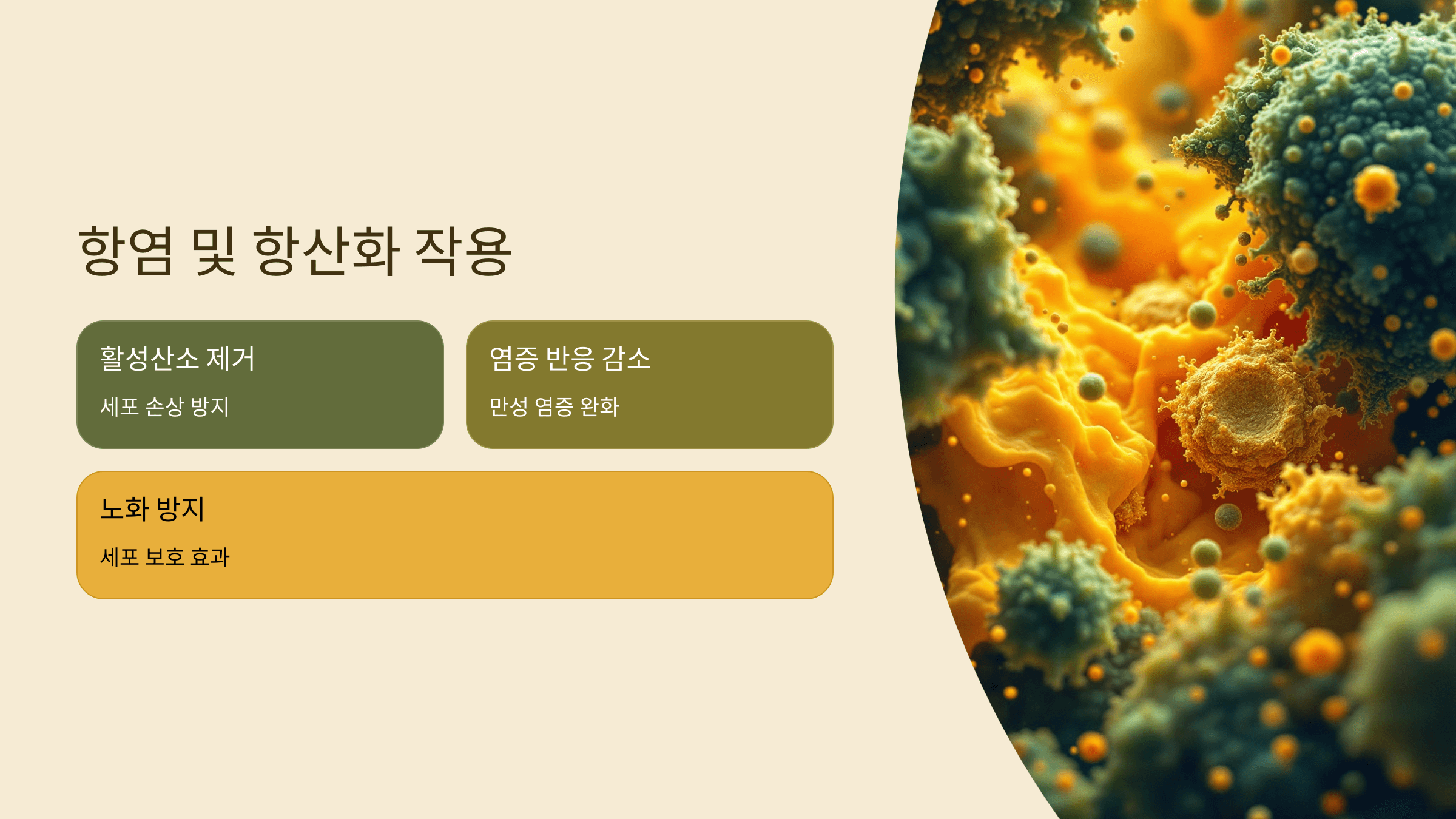 생강차 사진입니다.