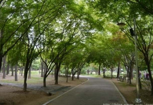 양재 시민의숲 산책로