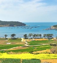 완도여객선터미널 제주 배편 예약과 시간표 및 운임요금 및 주차요금 관련사진