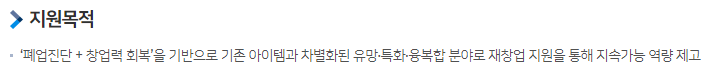 폐업 자영업자 소상공인 지원금: 재창업 사업화 지원 목적