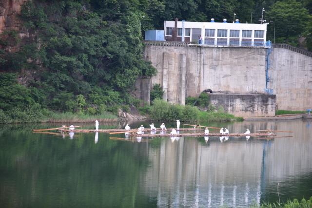 2024 동강뗏목축제 기본일정과 프로그램 정리 이하평 박서진 코요태 팝페라 아리앨 노브레인 박상민 출연 