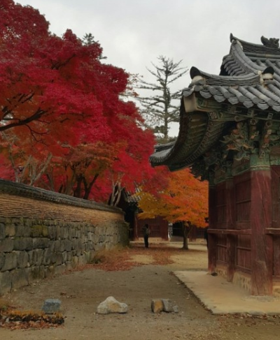 가을에 꼭 가야하는 단풍이 유명한곳 BEST 5곳