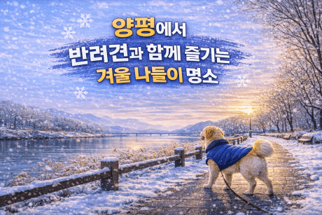 양평 반려견 겨울 나들이 명소, 강아지와 함께 산책하기 좋은 곳 추천