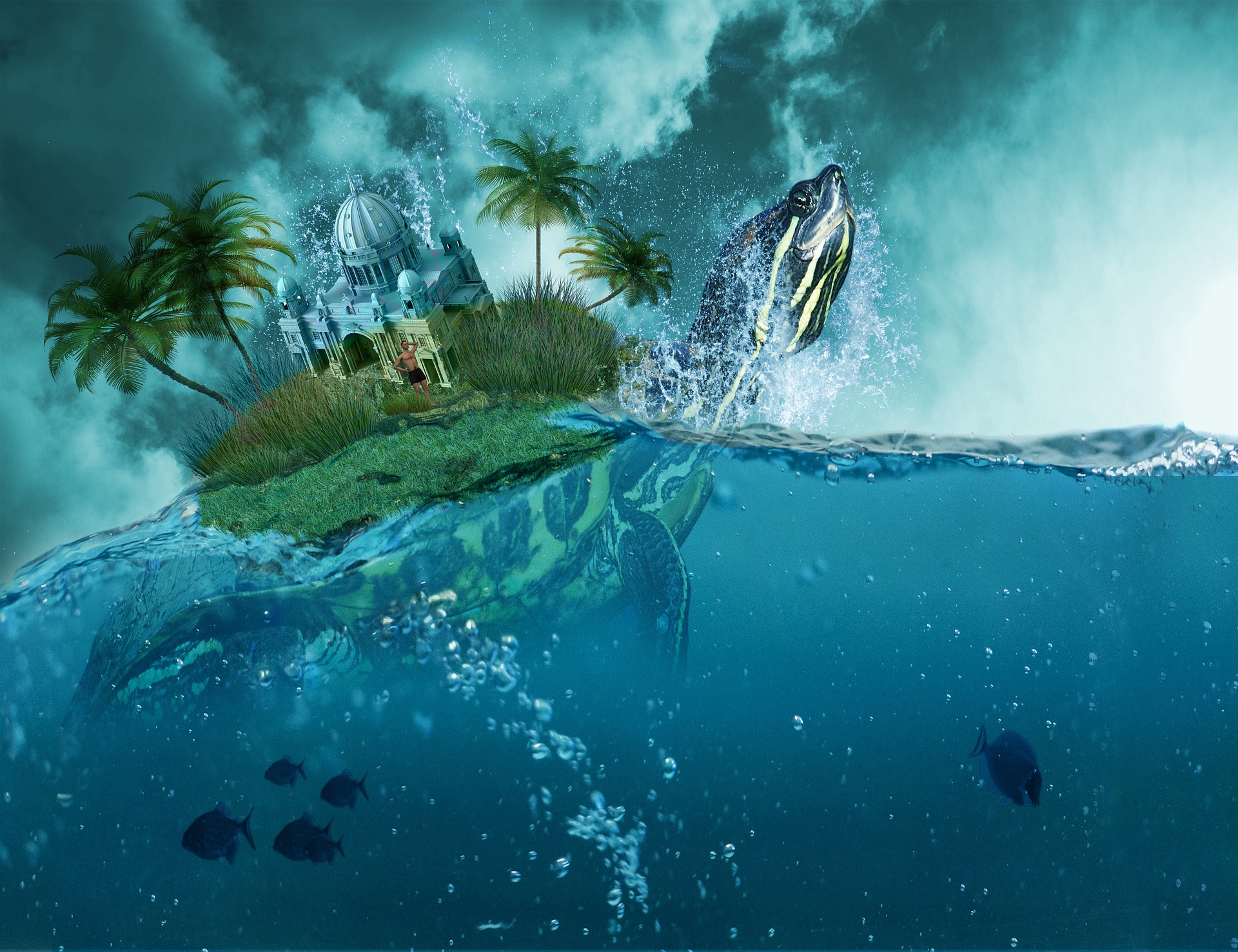 거북이 꿈 해몽