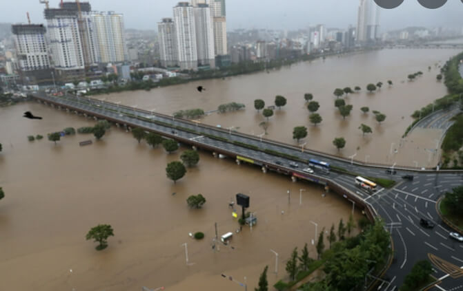 울산 태화교까지 수위가 올라온 강물