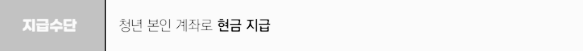 청년 월세 지원 사업 지원금 지급 수단