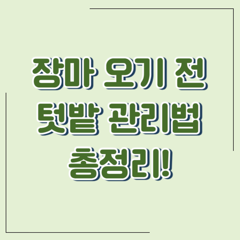 장마 오기 전 꼭 해야 할 텃밭 관리 노하우