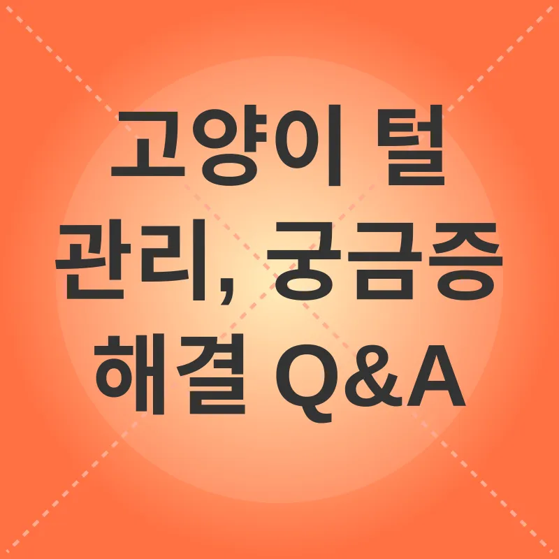 고양이 털 관리_4