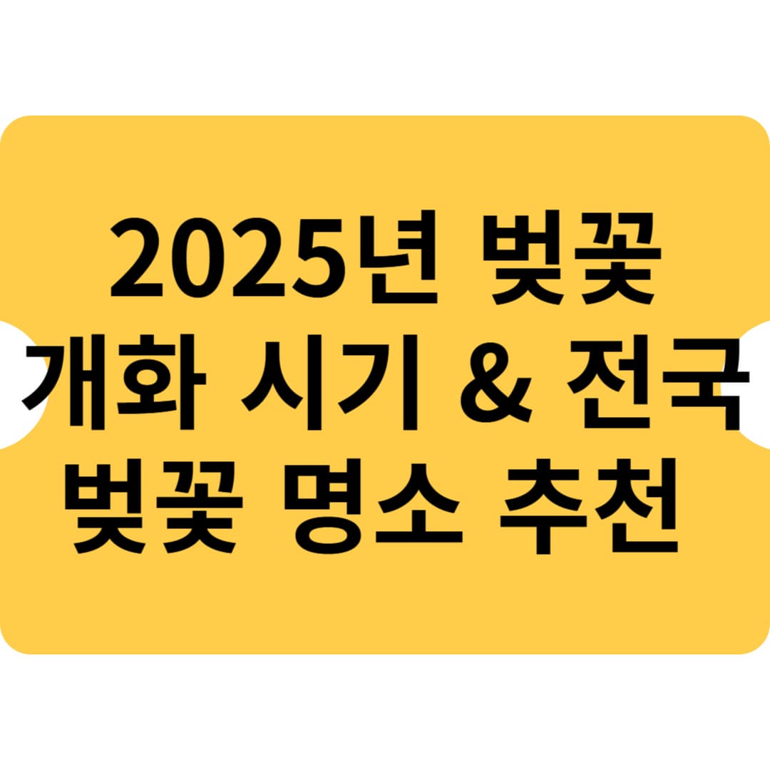 2025년 벚꽃 개화 시기 &amp; 전국 벚꽃 명소 추천 🌸