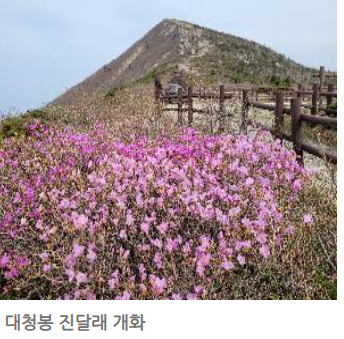 설악산 국립공원 단풍