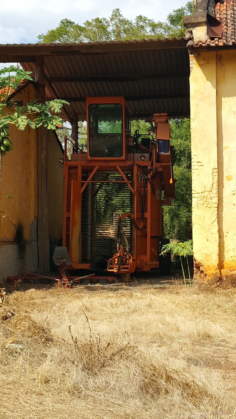 Fazenda_Tozan_13