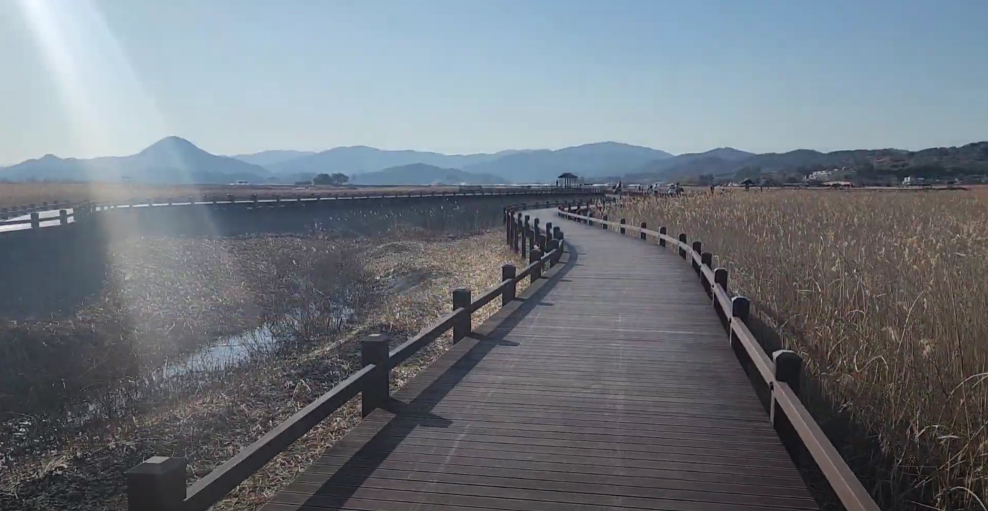 순천만 습지