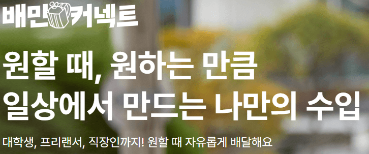 배민커넥트 수입정보