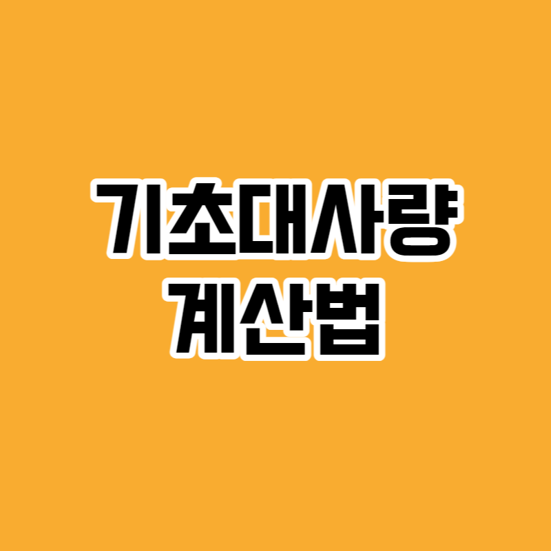 기초대사량 계산법