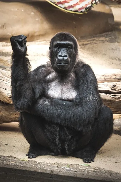 고려 태조 왕건 가계도 고려 왕조 가족 연표_5