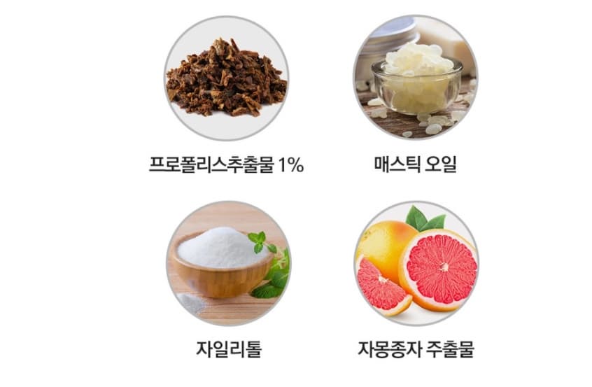 인생 찐 치약 추천 더오름 웰네이처 프로케어 치약 프로폴리스 함유 단체선물, 답례품 추천