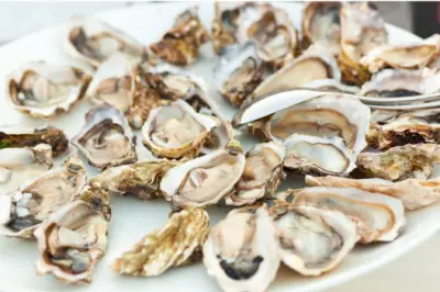 굴 효능과 영양성분, 먹을때 주의점