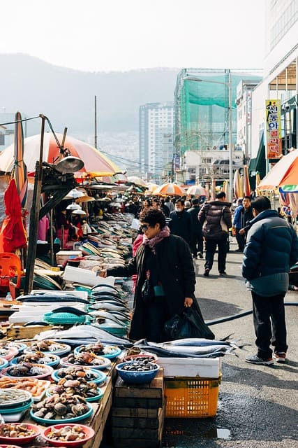 공공배달앱 1만원 쿠폰