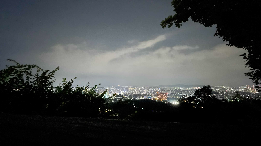 남선서울타워 밤소풍