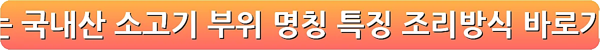 맛있는 국내산 소고기 부위 명칭 특징 조리방식_10