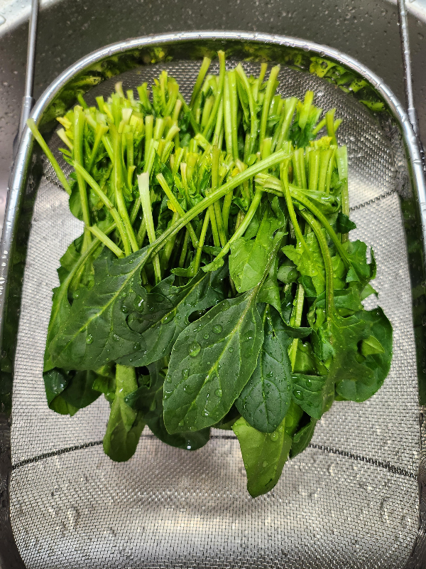 시금치무침