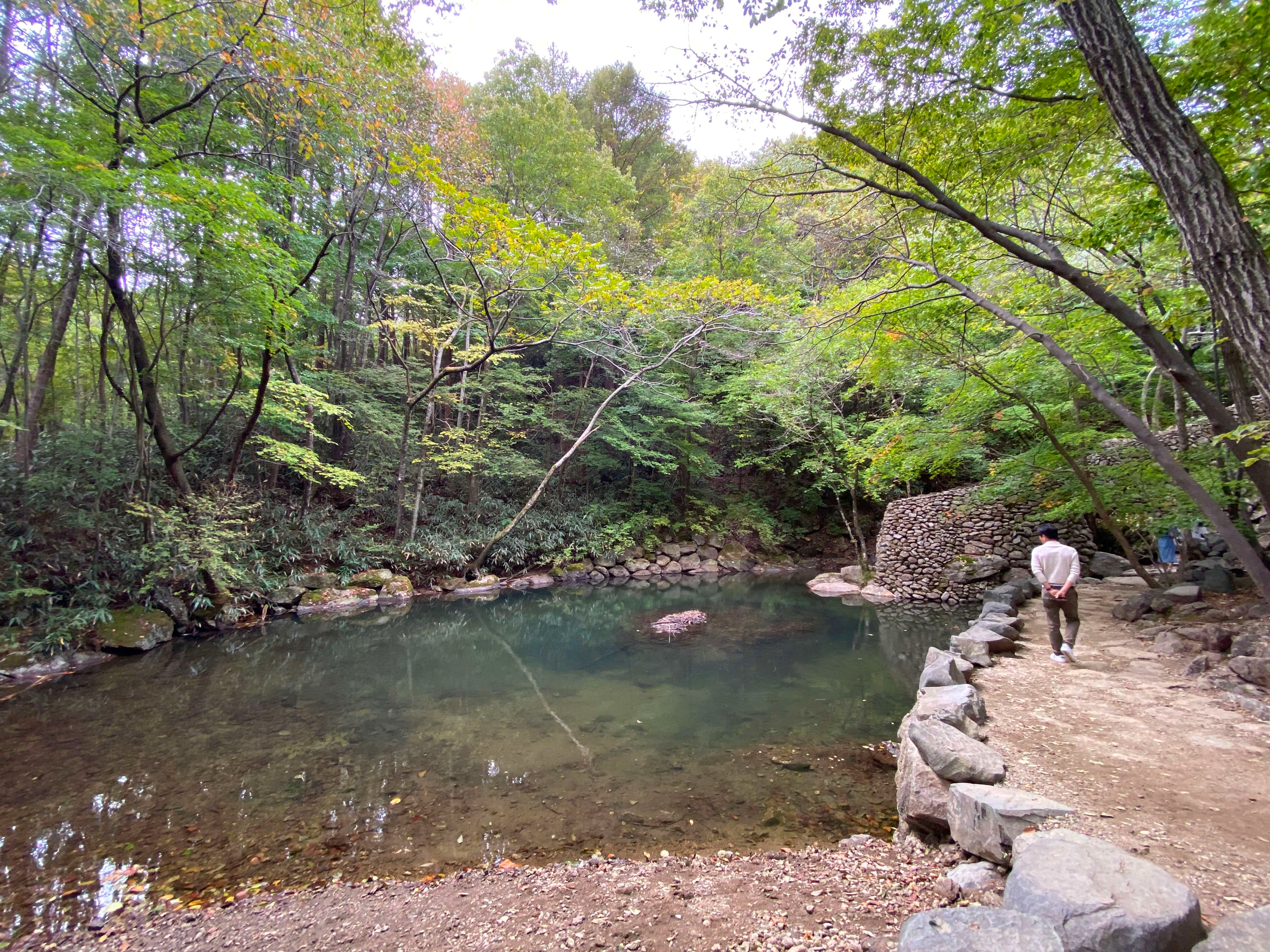 하동 삼성궁 가는길 입장료 단풍구경 근처 가볼만한곳 사진찍는곳 추천/카페 파전 막걸리