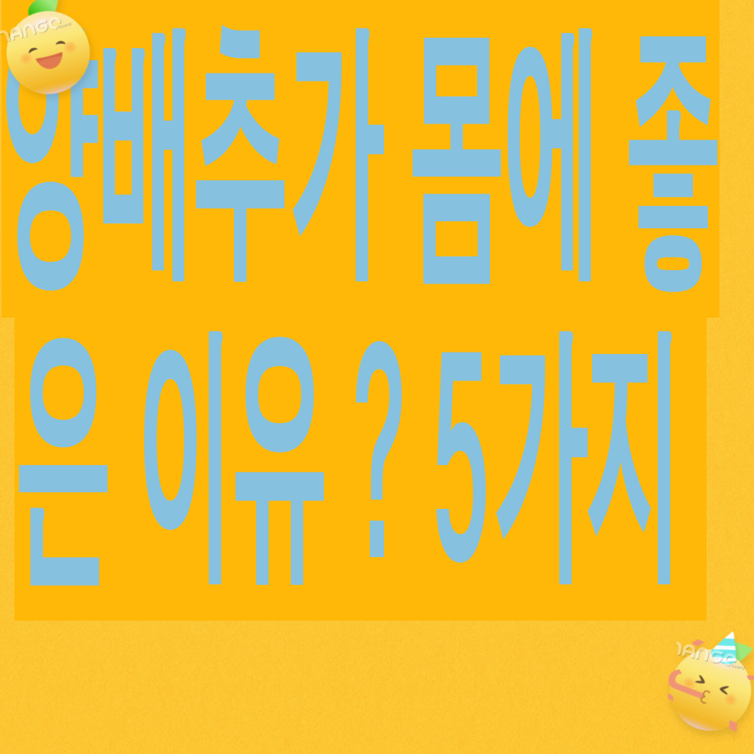 양배추 몸에 좋은 이유 ? 5가지