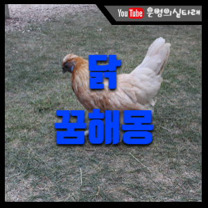 썸네일 사진