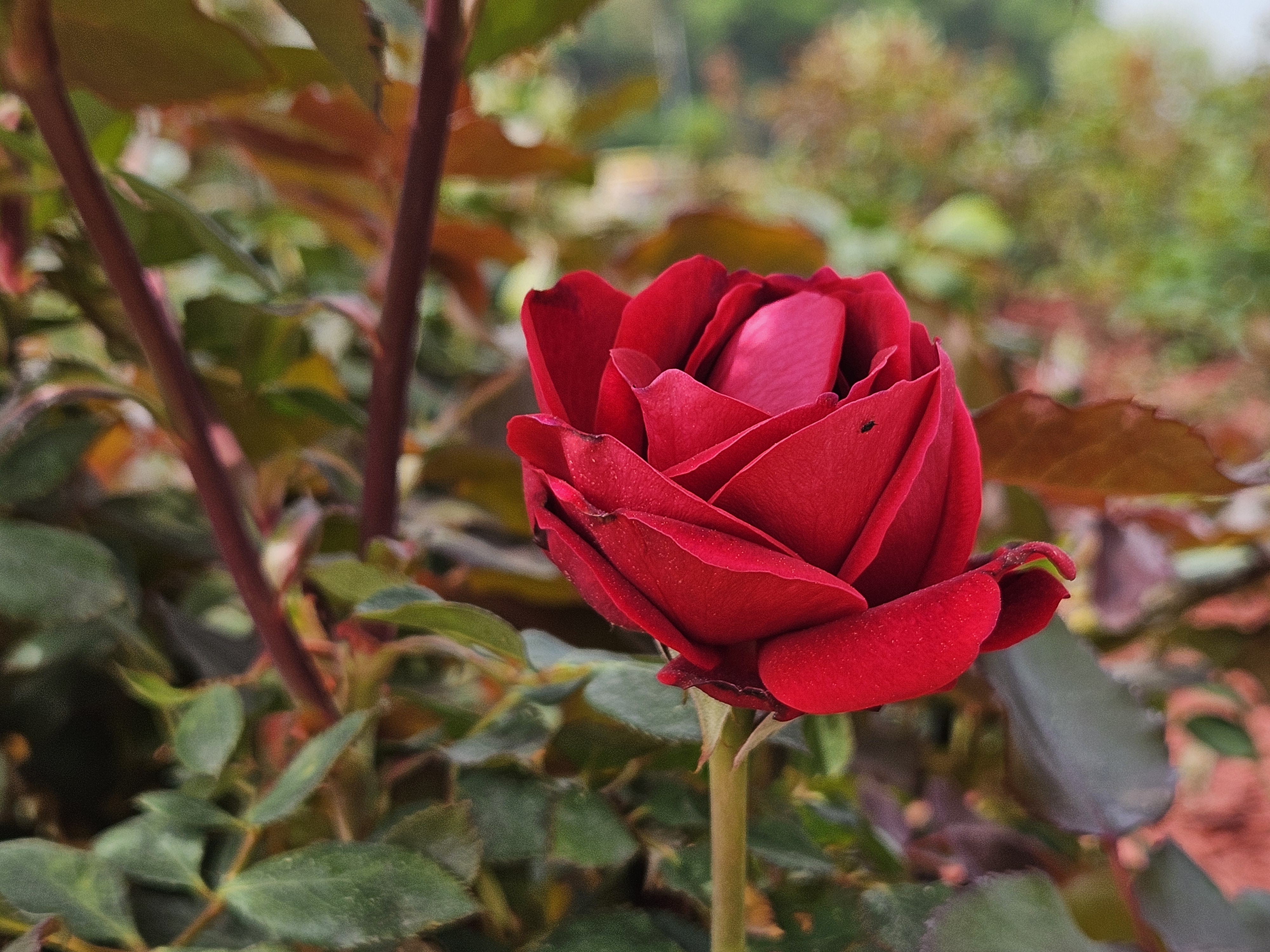 황룡강 뮤직페스티벌 '상생감사석' 확보! 특별 관람 꿀팁 대공개!