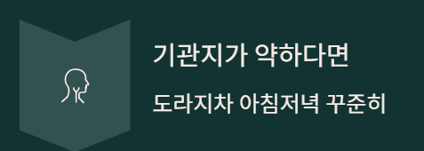 청소년에게 좋은 전통차 TOP3