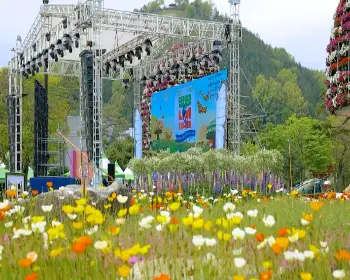 함평나비축제_3