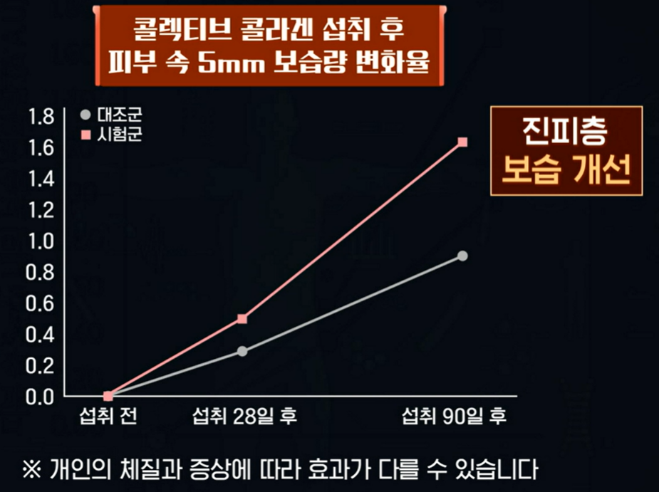 콜라겐의 효능
