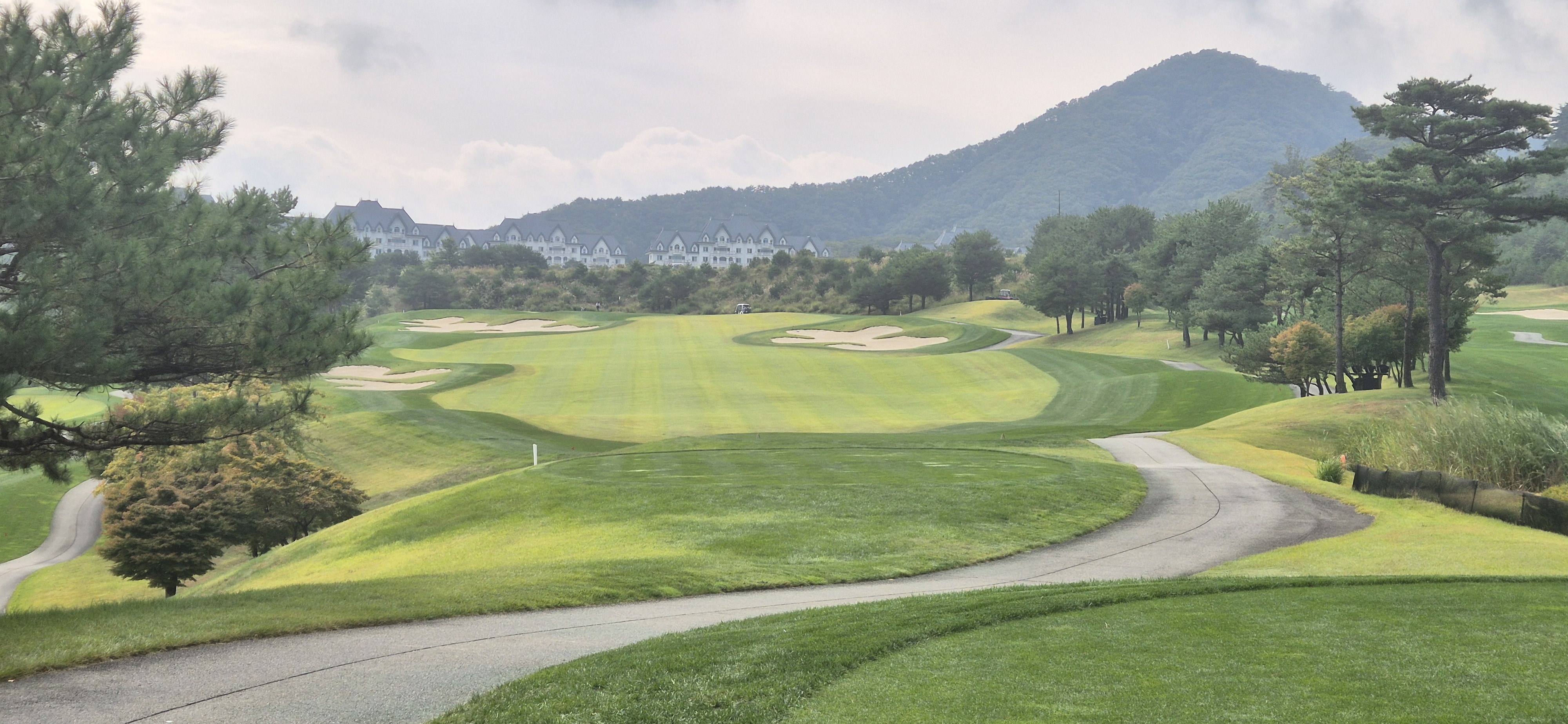 소노펠리체cc이스트