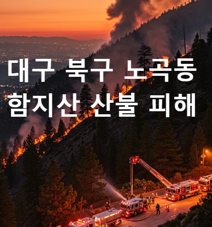 대구-북구 노곡동 함지산 산불 피해