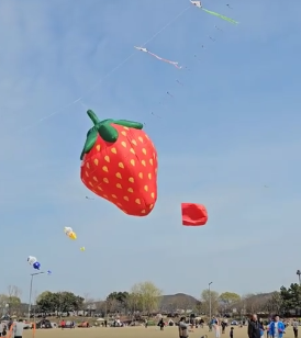 서울근교벚꽃명소