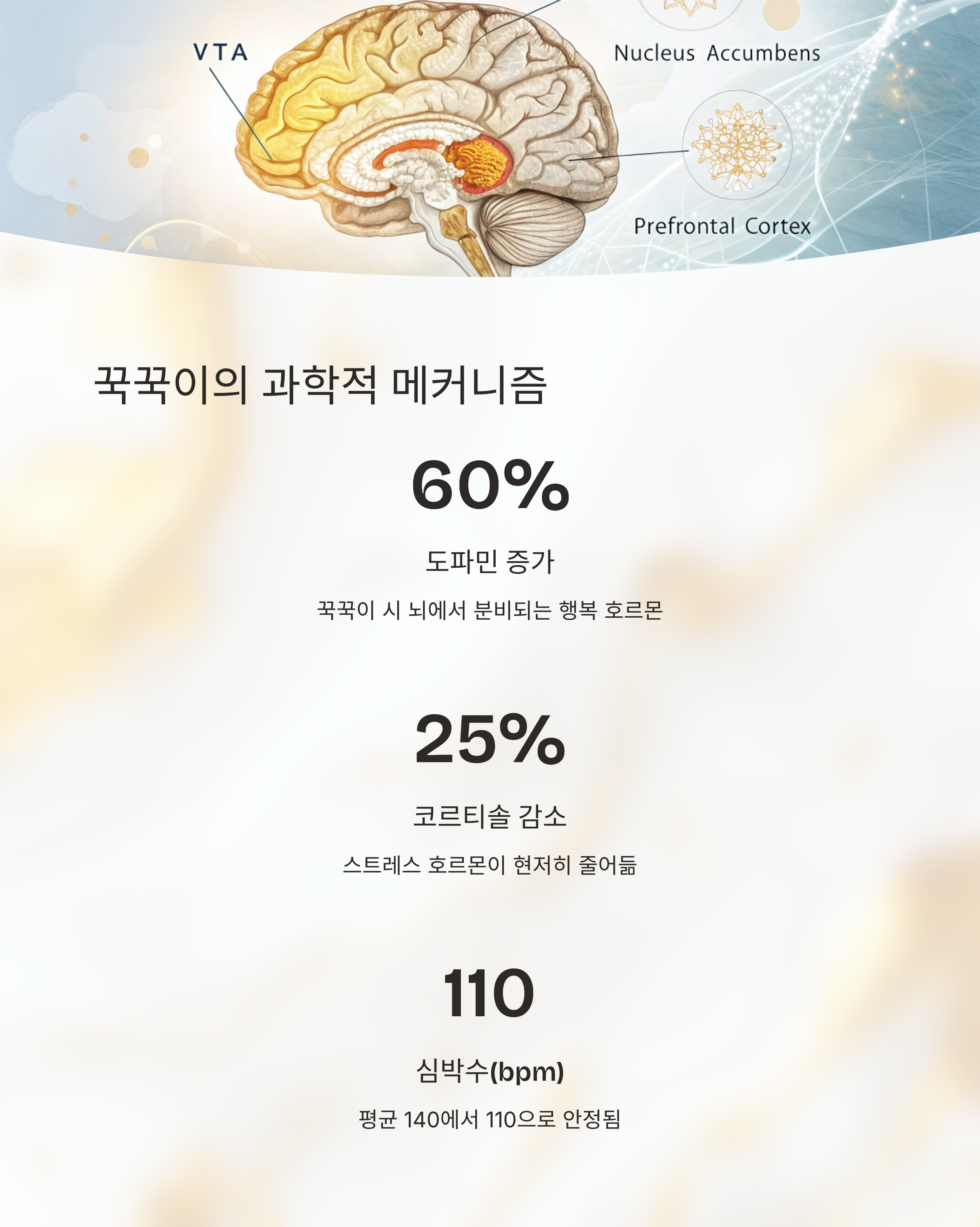 꾹꾹이의 과학적 메커니즘