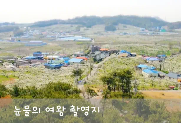 눈물의 여왕 배밭 촬영지