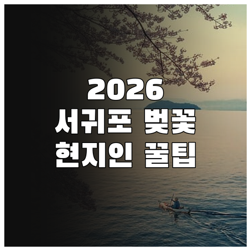 2026 서귀포 벚꽃 만개 시기 예상..