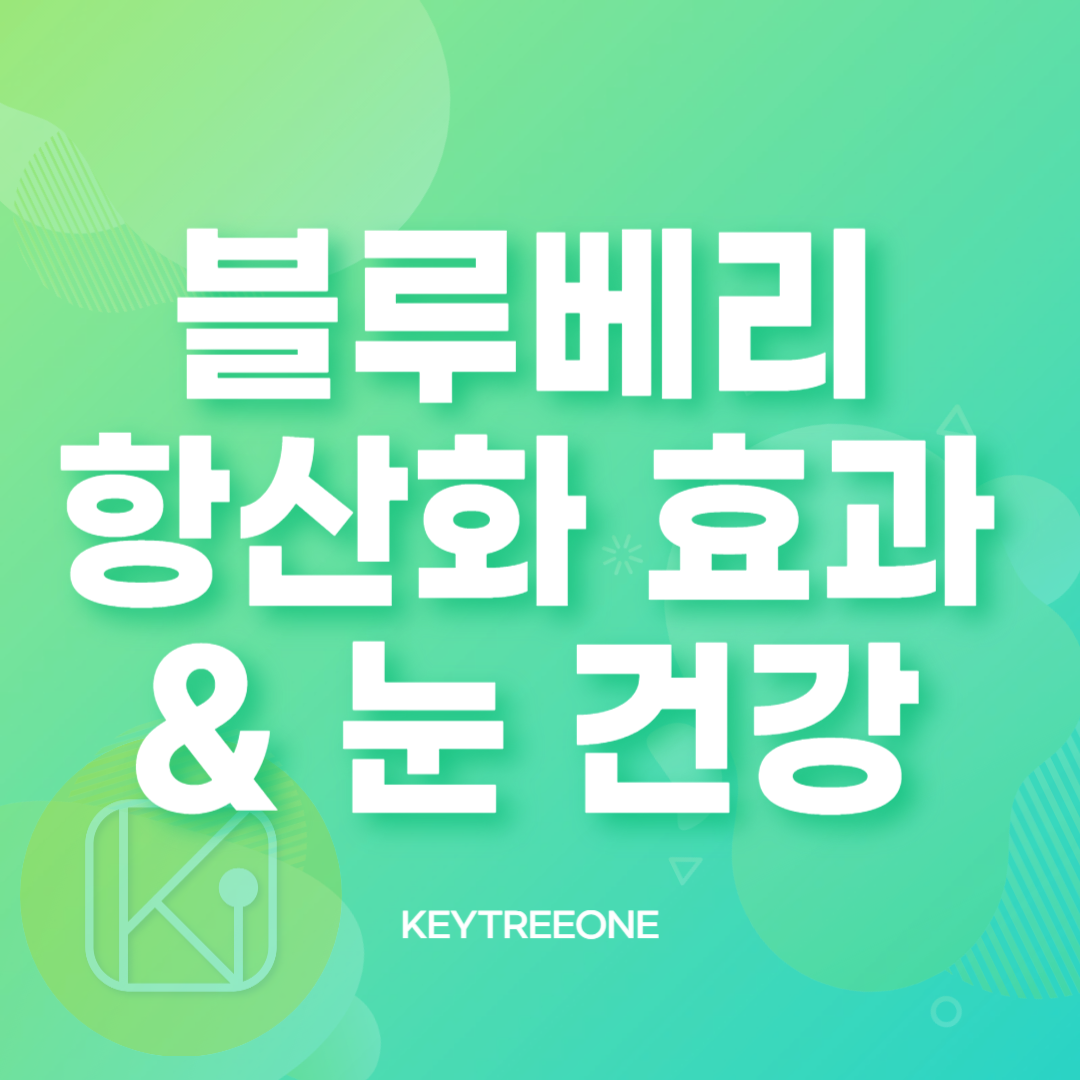 블루베리의 항산화 효과와 눈 건강