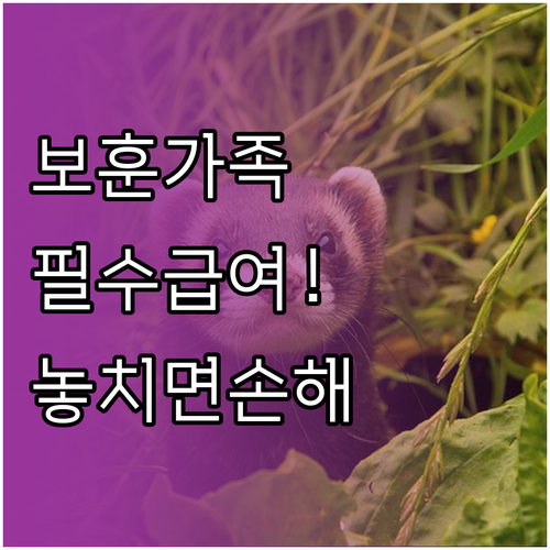 보훈가족 필수 복지 제도 맞춤형 급여..