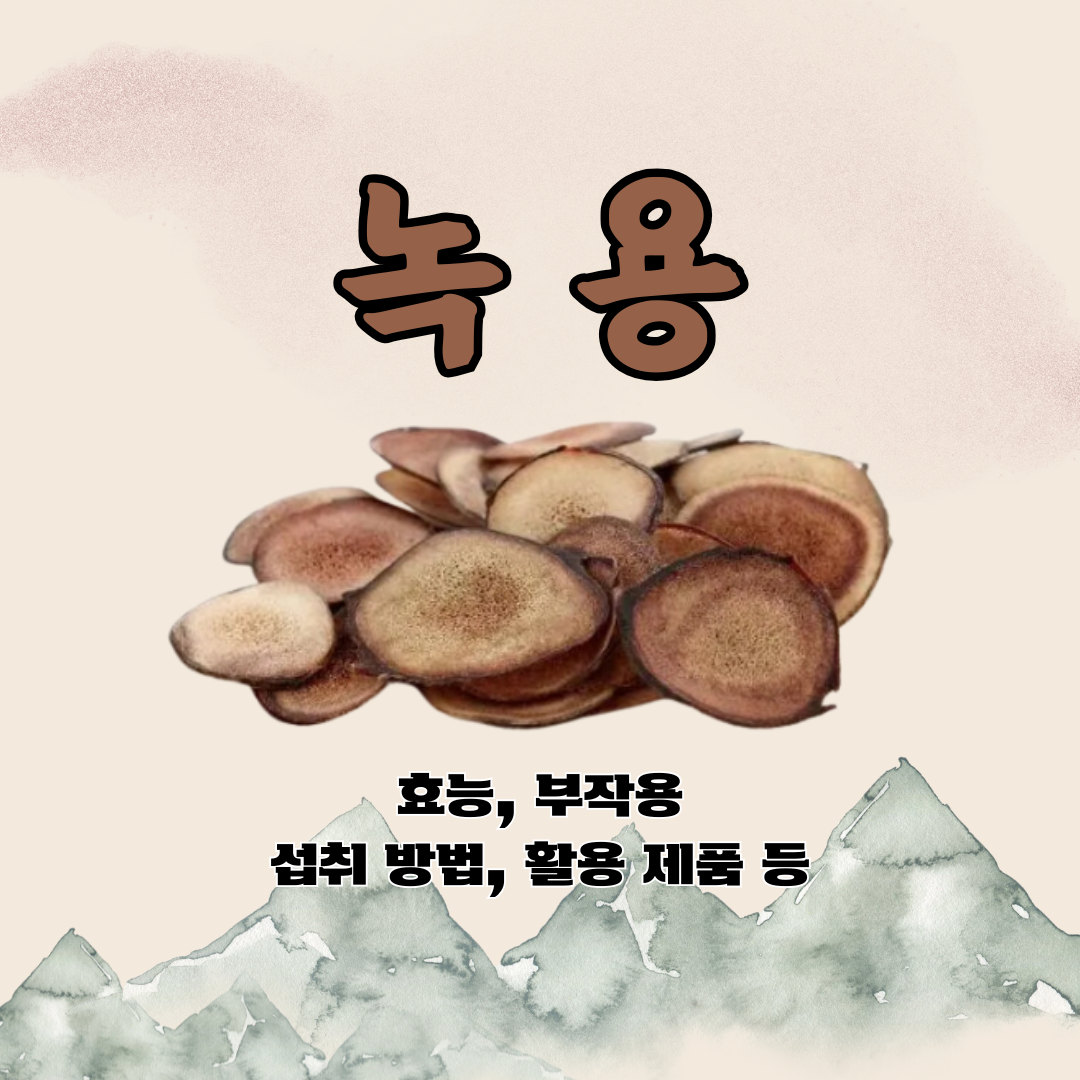 녹용