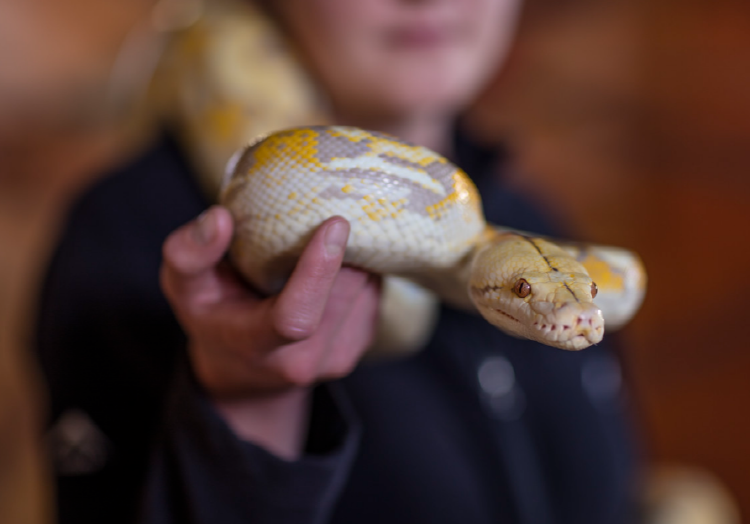 아침고요 동물원