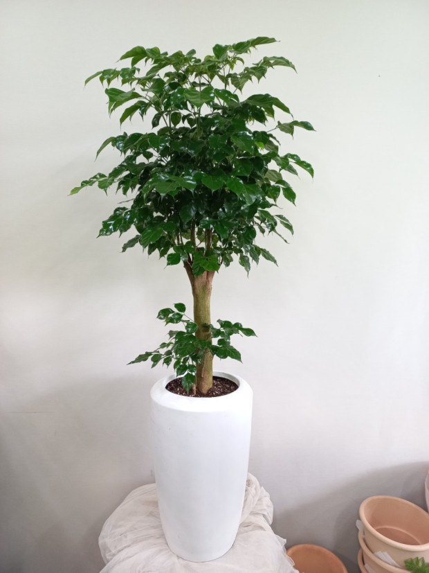 개업 축하 문구