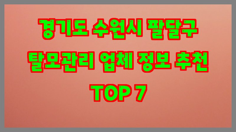 경기도 수원시 팔달구 탈모관리