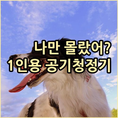 직장인 1인용 공기청정기 추천 제품과..