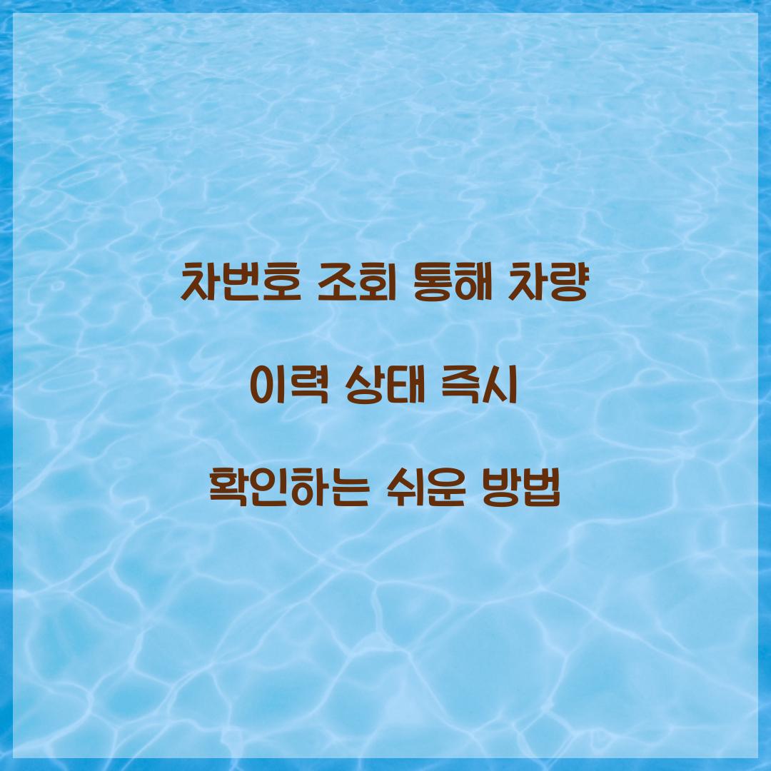 차번호 조회