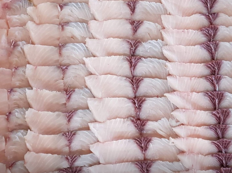 정태수산 삼치회