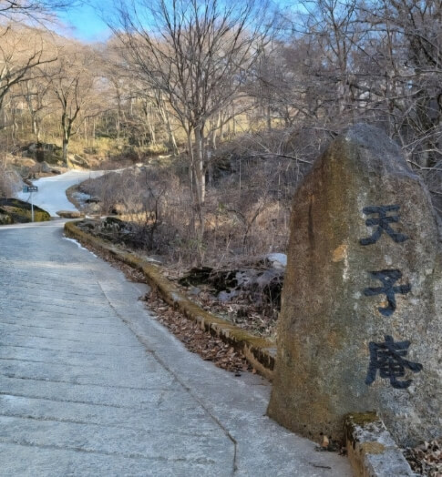 순천 천자암 : 조계산 깊은 숲 속 수행 도량 쌍향수가 전하는 천년의 울림과 수행의 향기